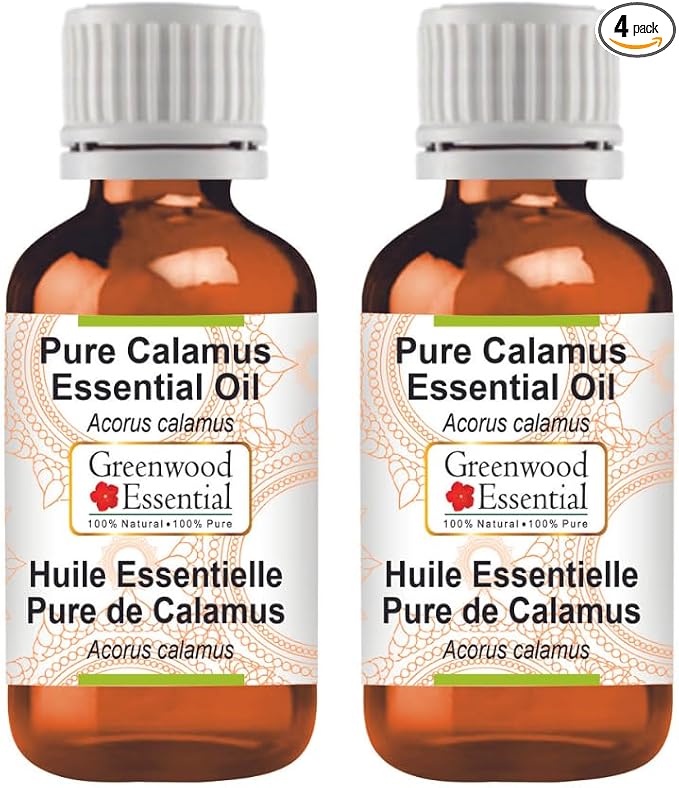 Greenwood Essential Pure Calamus Essential Oil (Acorus Calamus) Steam Distilled (Pack of Two) 100ml X 2 (6.76 oz)