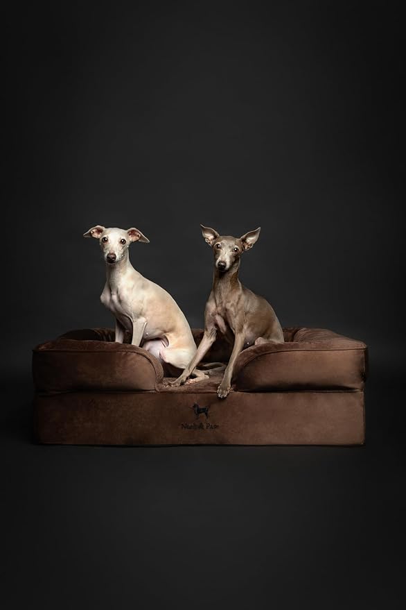 NOAH & PAW Large Dog Bed, 35x25x11 Inch, Orthopedic Dog Beds, Eggshell Memory Foam Infused with Cooling Gel, Inner Cover, Water Resistant, Machine Washable (Velvet Sofa Collection)