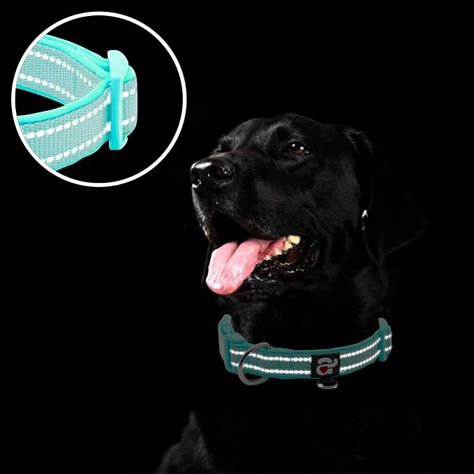 azuza Reflective Dog Collar,Soft Neoprene Padded Pet Collar with ID Tag Ring,Adjustable for Medium Dogs,Teal,M