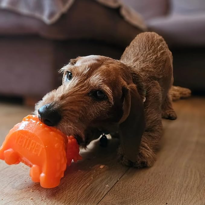 Yeti Puff & Play Interactive Dog Toy, Nugget Treat Dispenser, Orange Yak