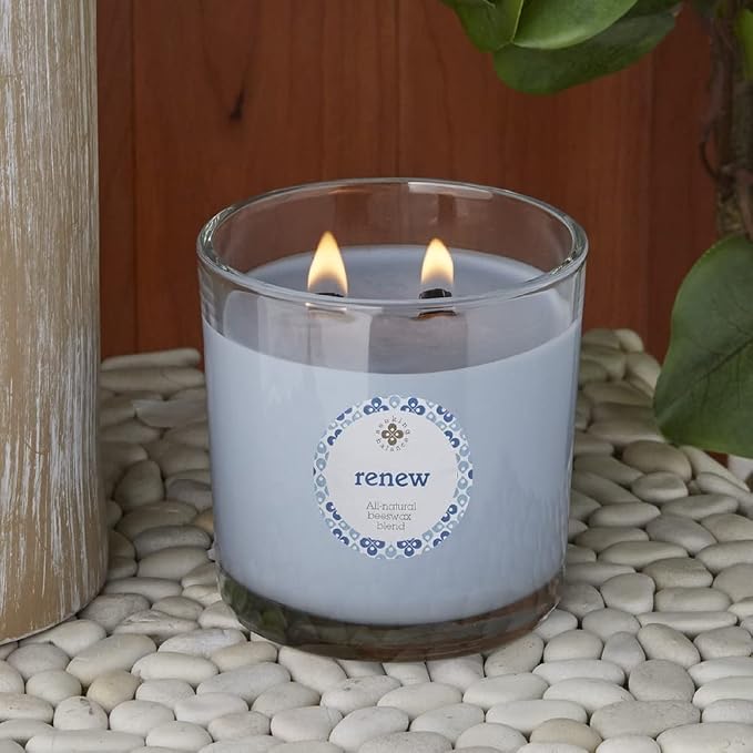 Root Candles Seeking Balance Wood Wick Spa Candle Aromatherapy Candles, 12-Ounce, Renew: Sea Cypress & Cedar Leaf