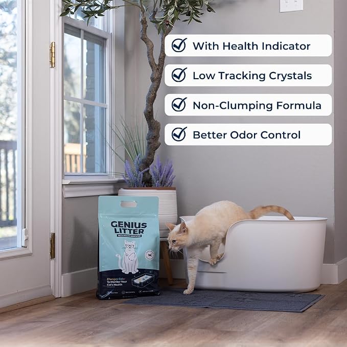 Genius Litter Health Monitoring Cat Litter, Featured on Shark Tank, Lightweight Crystal Silica Gel, Non Clumping, Dust Free, Low Tracking, Odor Control for Indoor Cats and Kittens, 3 Bag (18lb)