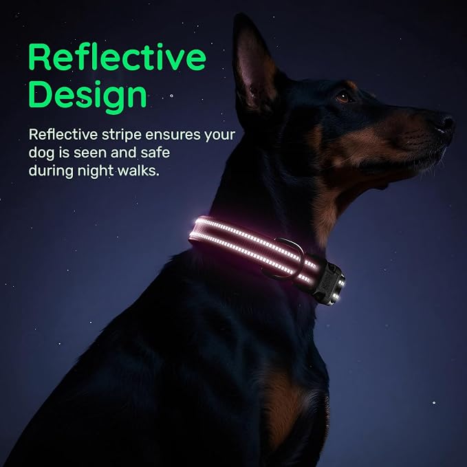 Dog Collar for Large Dogs with Smart QR Tags