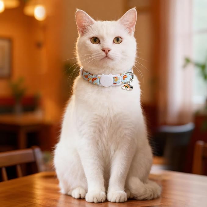 Cat Collars for Girl Cats & Boys, 2 Pack Soft Cotton Breakaway Collar with Removable Bell and Cute Charms, Adjustable Safety Pet Necklace, Rainbow