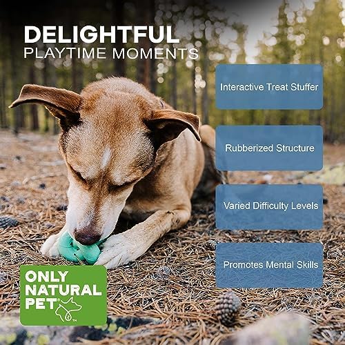 Only Natural Pet Rubber Boredom Buster Treat Stuffer Dog Toys - Interactive Stuffable Feeder Dispenser Fillable Durable Play Puppy Medium Large XS Chew Pup Hide Holder Easy Refill -TreatKnot/Teal