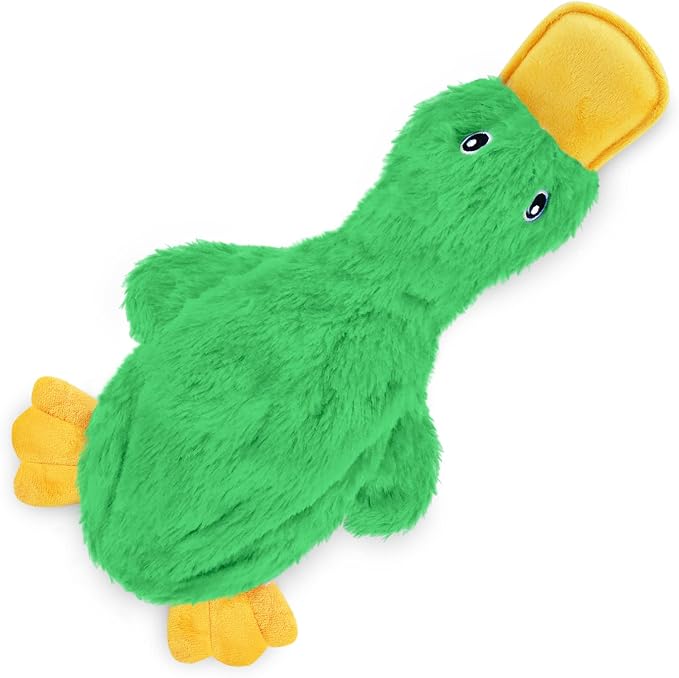 Best Pet Supplies Interactive Squeaky Dog Toy - Crinkle Duck, Green | Stuffing Free Body, Soft, Squeaks & Crinkles, No Mess, Perfect for Moderate Chewers, Toss and Fetch Play