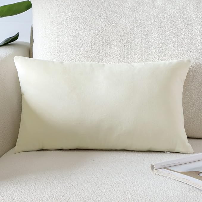 Artscope Luxury Velvet Pillow Covers Super Soft Decorative Rectangle Throw Pillow Covers Case Cushion Covers for Sofa Couch Bedroom Car Decor 16x24 Inch Cream White