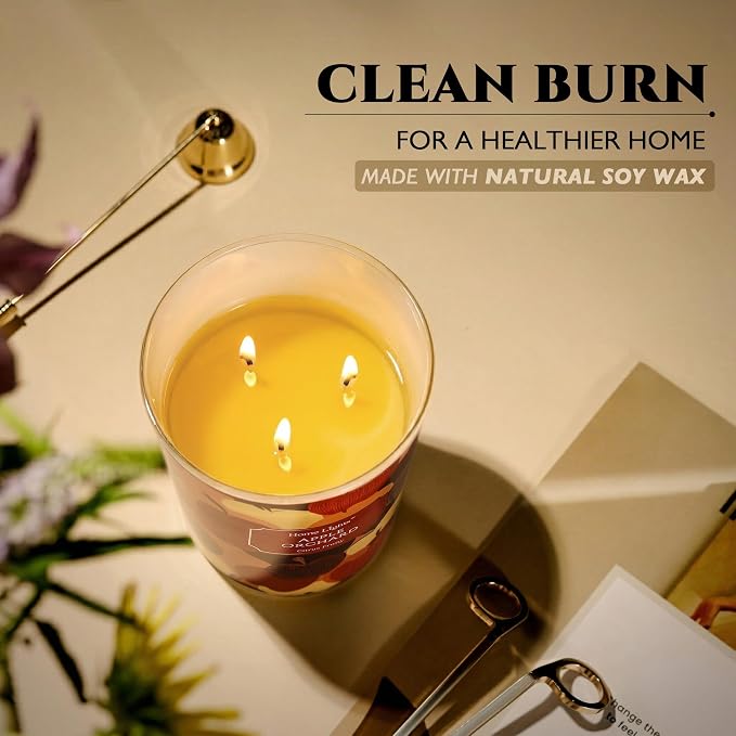 HomeLights Large jar Candle | 3-Wick Long-Lasting Scented Candles, 34oz Natural Soy Wax Candle for Home Scented, Eclectic Mixed Styles Gifts for Women & Men, Apple Orchard