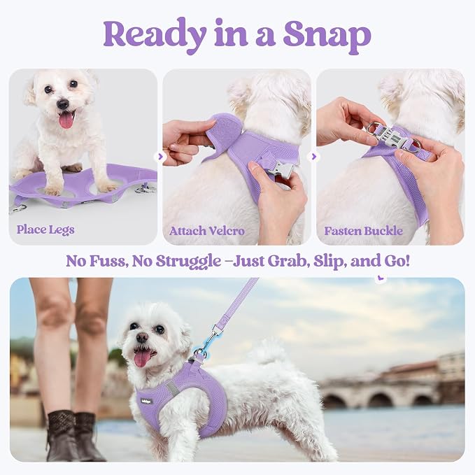 rabbitgoo Dog Harness Medium Sized and Leash Set, Step-in Puppy Pet Vest | Light, Soft, Breathable Air Mesh, Easy on and Remove with Hook & Loop, Secure Reflective for Walking, Light Purple XL