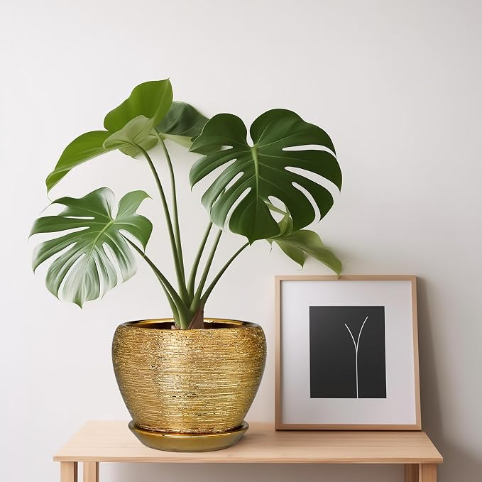 Ceramicfor Indoor Plant Pot 6 Inch - Ceramic Pot for Plants Outdoor Planter with Drainage Hole and Saucer Round Decorative Planter Modern Flower Pot for Home Decor Gold