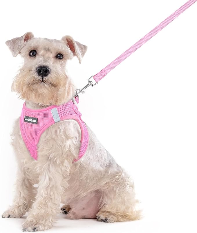 rabbitgoo Dog Harness Medium Sized and Leash Set, Step-in Puppy Pet Vest | Light, Soft, Breathable Air Mesh, Easy on and Remove with Hook & Loop, Secure Reflective for Walking, Light Pink XXL