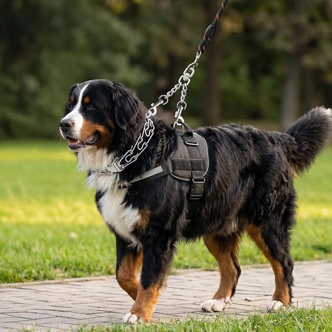 Prong Collar Safety Clip Stainless Steel Leash Backup with Dual Clasps Dog Collars and No Pull Harness Connectors(5.71 Inches Silver)