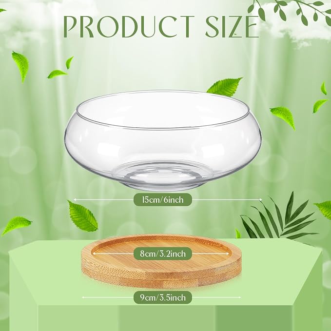 4 Sets Glass Planter Bowls for Flowers with Tray 6'' Round Glass Vase Bowl Hydroponic Lotus Planter Pot Propagation Vases Fish Bowl for Plants Indoor Windowsill Kitchen Desktop Wedding Decor