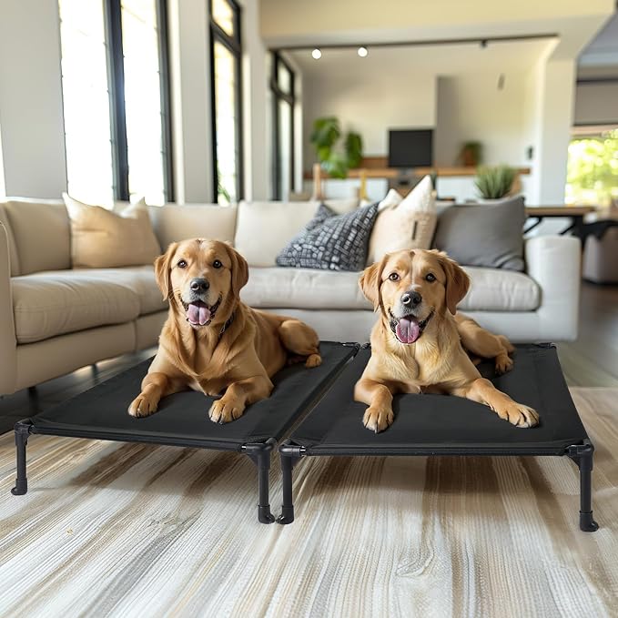 Veehoo 2 Pack Outdoor Elevated Dog Bed for Large Dogs, Cooling Raised Cots | Off-ground training platform, portable camping hammock, breathable mesh, easy to clean, no-tool setup, 42"x30", Black