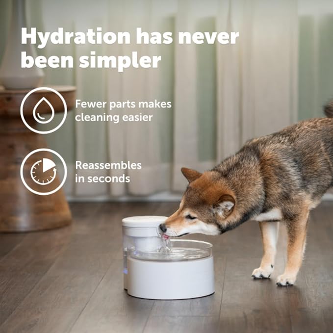 PetSafe Outlast Pumpless Cat Water Fountain, 60 oz/1.7L, Dishwasher Safe | Pumpless HydroSpin Design Circulates 60 Oz Water, Ion-x Carbon/Ion-Exchange Filter, Smart Sensors Slow Flow at Night