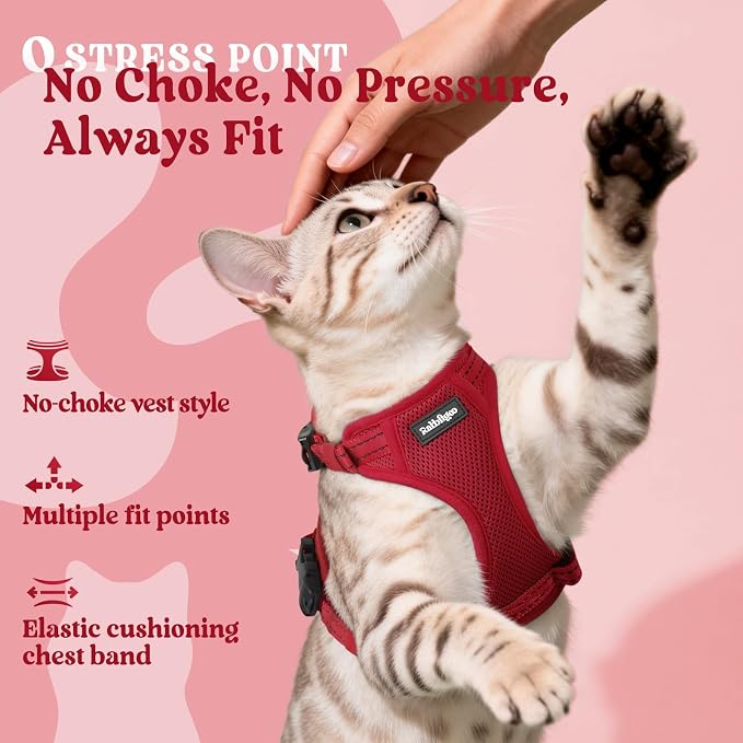 rabbitgoo Cat Harness and Leash, Easy-on with Neck Buckle, Red
