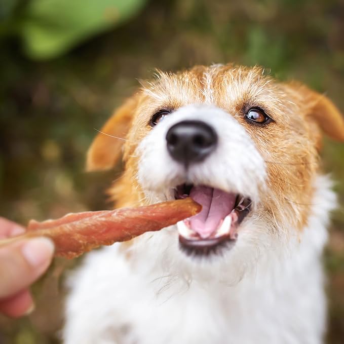 Pet 'n Shape Chik 'n Skewers – Chicken Wrapped Rawhide Chew Dog Treats - 8 Ounce | Premium chicken breast, Limited ingredients, Wheat and soy free, Everyday reward, For all life stages, High-protein snack