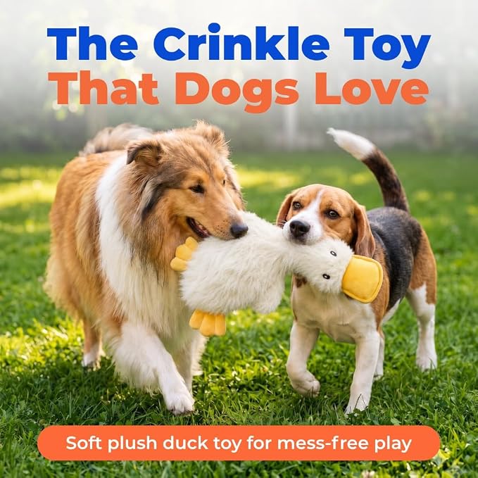 Best Pet Supplies Interactive Squeaky Dog Toy - Crinkle Duck, White | Stuffing Free Body, Soft, Squeaks & Crinkles, No Mess, Perfect for Moderate Chewers, Toss and Fetch Play