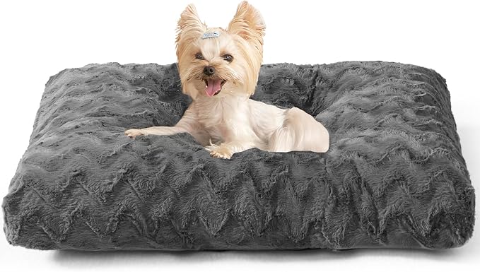 EHEYCIGA Washable Dog Beds for Small Dogs, 23x18 Inch Pet Bed, Charcoal | Plush and Comfy Kennel Pad, Soft Dog Crate Mat, Deluxe Sleeping Mattress for Puppy Up to 25 lbs