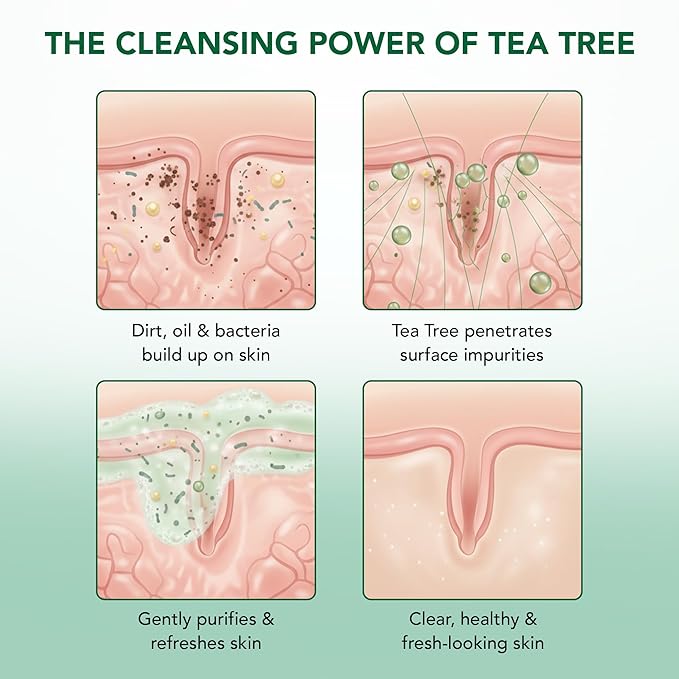 Botanic Hearth Tea Tree Body Wash with Silicone Dual-Sided Design Body Brush & Scrubber | Infused with 100% Pure Tea Tree Oil, Coconut, Jojoba |Foot & Body Cleanser | Paraben Free |16 fl oz