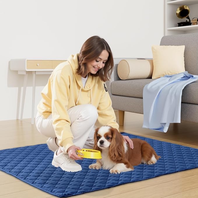 Smiry Waterproof Dog Bed Cover Blanket, Reversible Pet Blanket | Soft Reversible, Washable Leakproof Cats Dogs Couch Cover for Sofa, Couch, Furniture (82x120 Inch)