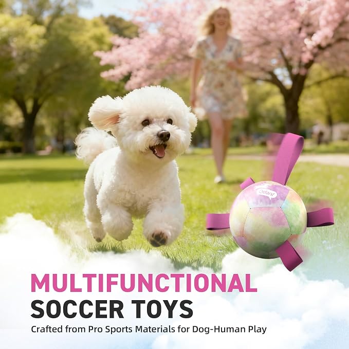 QDAN Dog Soccer Ball with Straps, Small Puppy Durable Dog Toys, 5 Inch