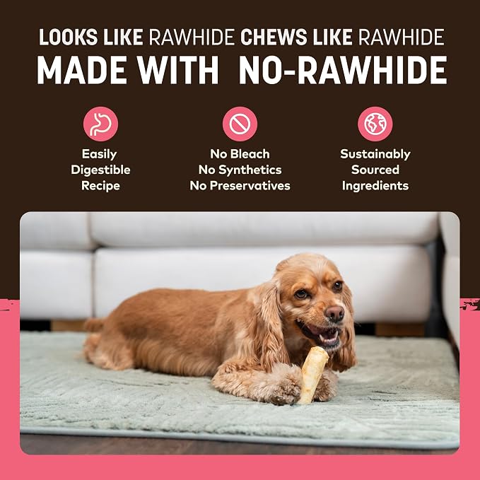 Earth Animal No Hide Dog Chews - Rawhide Free Small Rolls 6 Count Salmon | Small Rolls Salmon Flavored Natural Rawhide Free Long Lasting Dog Chews - Pet Treats for Small Dogs