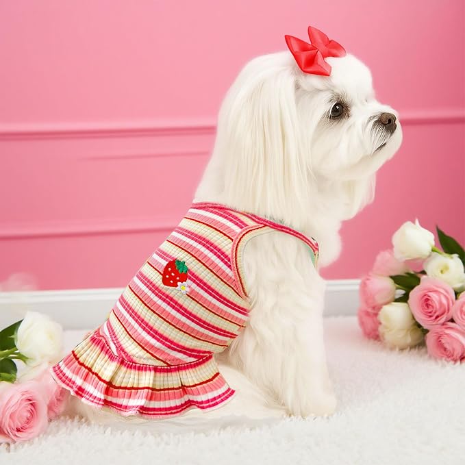 Cute Small Dog Dress Girl Female Dog Clothes Spring Summer Pet Puppy Cats Striped Dress Outfits for Shih Tzu Yorkies Chihuahua Maltese(4 Pcs,XX-Large)
