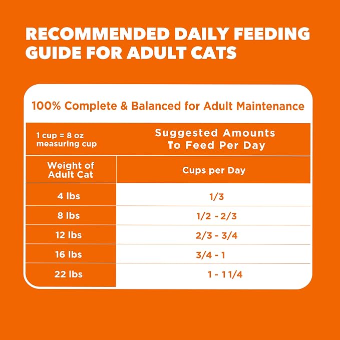 IAMS Proactive Health Healthy Adult Dry Cat Food, Chicken, 22 lb | Veterinarian-recommended, Real chicken #1 ingredient, chicken & egg protein, wholesome grains for energy, supports muscles