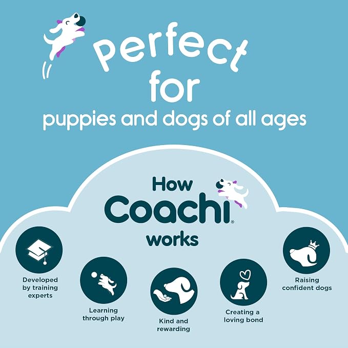 Coachi Chase & Crinkle - A Fun Enrichment Dog Toy for Chase & Play