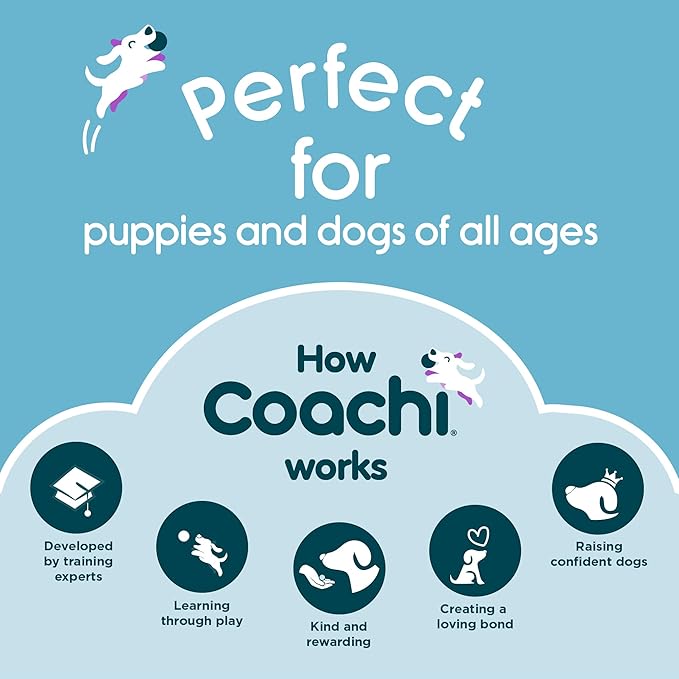 Coachi Tuggi Spider - Interactive Dog Toy for Tug of War & Play