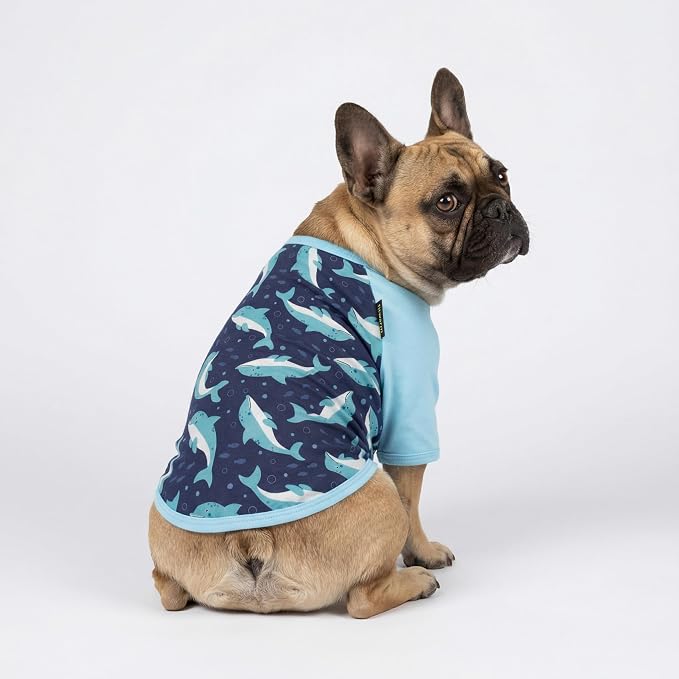 Fitwarm 2 Pack Dolphin & Fish Dog Shirt, Hawaiian Summer Clothes for Small Dogs Boy Girl, Lightweight Pet Outfit, Tea Blue, Green, XXL