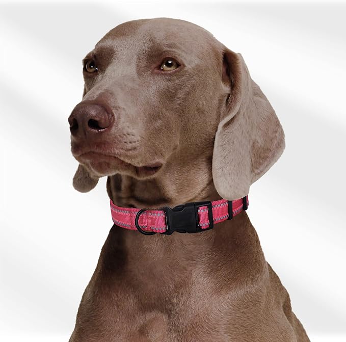 Mile High Life Reflective Dog Collar, Adjustable Lightweight Quick Release