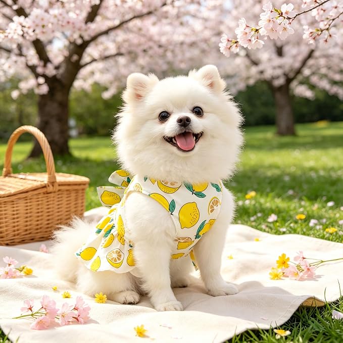 2Pack Small Dog Harness Dress for Girl Puppy Cat Dress with Strawberry&Lemon Pattern Adjustable Breathable D-Ring Outfits for Small Puppy Cat Dresses for Cats Only or Dog Girl Clothes