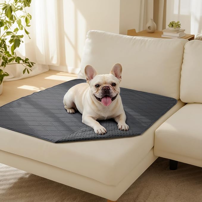 Luciphia Waterproof Couch Cover for Dogs, Non-Slip Pet Sofa Protector | Non-slip waterproof couch cover scratch-resistant machine washable protects sofa bed, Grey, 40" x 50"