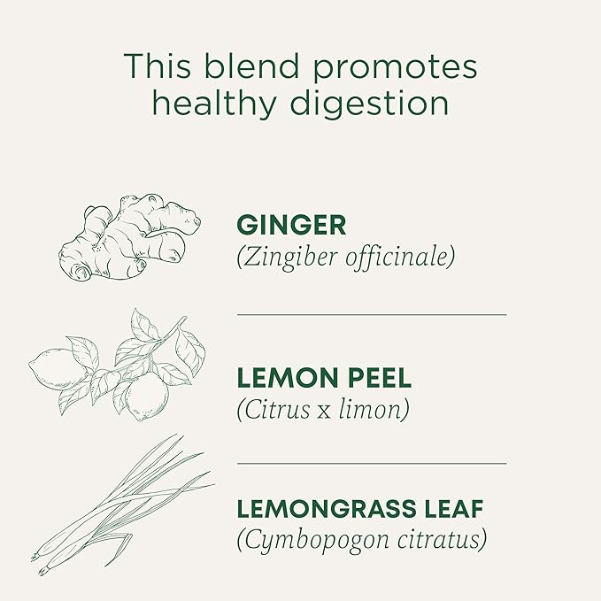 Traditional Medicinals Organic Lemon Ginger Herbal Tea, Promotes Healthy Digestion, Kosher, Non-GMO, Caffeine-Free, Compostable - 96 Count (Pack of 6)