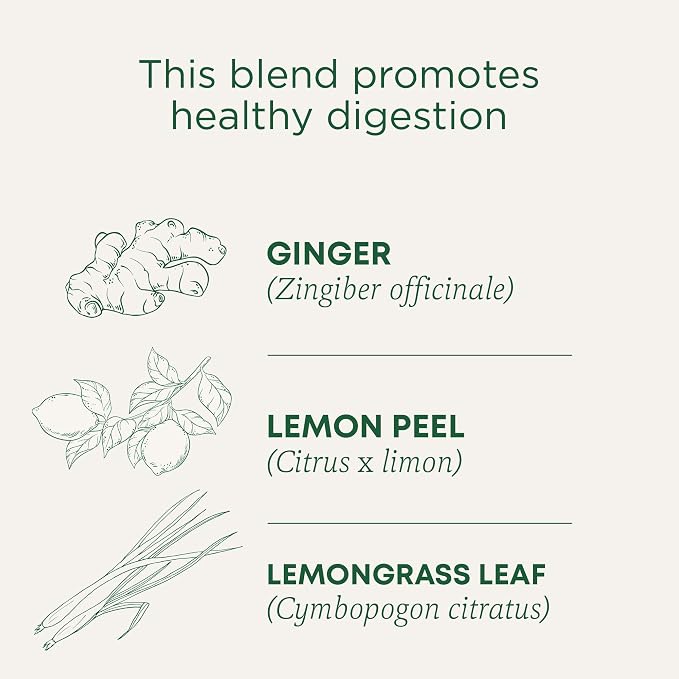 Traditional Medicinals Organic Lemon Ginger Tea, 1.13 Oz, 16 Count