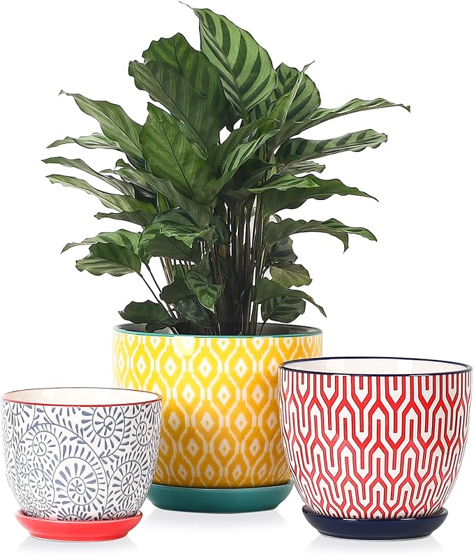 Selamica Ceramic Plant Pots, 4.6+5.6+6.5 Inch Planters with Drainage Holes & Saucer, Flower Pots for Indoor Plants, Home Decor, Set of 3, Assorted Colors