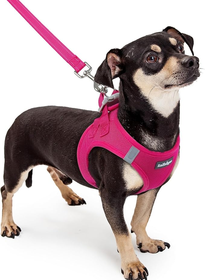 rabbitgoo Dog Harness Small Sized and Leash Set, Step-in Puppy Pet Vest | Light, Soft, Breathable Air Mesh, Easy on and Remove with Hook & Loop, Secure Reflective for Walking, Rose Red XXXS
