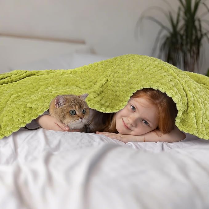 Vessia Flannel Fleece Throw Blanket, 3D Jacquard Green Fuzzy and Warm Blanket for Couch,Sofa,Bed,Chair, 300GSM Super Soft Touch Cozy Throw for All-Season Home Decor(50x40inch)