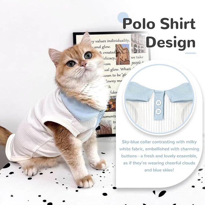 Dog Tshirts for Small Dogs Polo Shirt Stretchy Dog T Shirt Breathable Dogs Cooling Vest Girl Boy Puppy Dachshund French Bulldog Frenchie Chihuahua Clothes