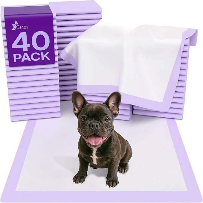 Pee Pads - Super Absorbent & Leak-Proof Pee Pads for Dogs - Puppy Pads - Waterproof Dog Pads, Dog Training Pads for Cats, Rabbits (Pack of 40 - 22x22)