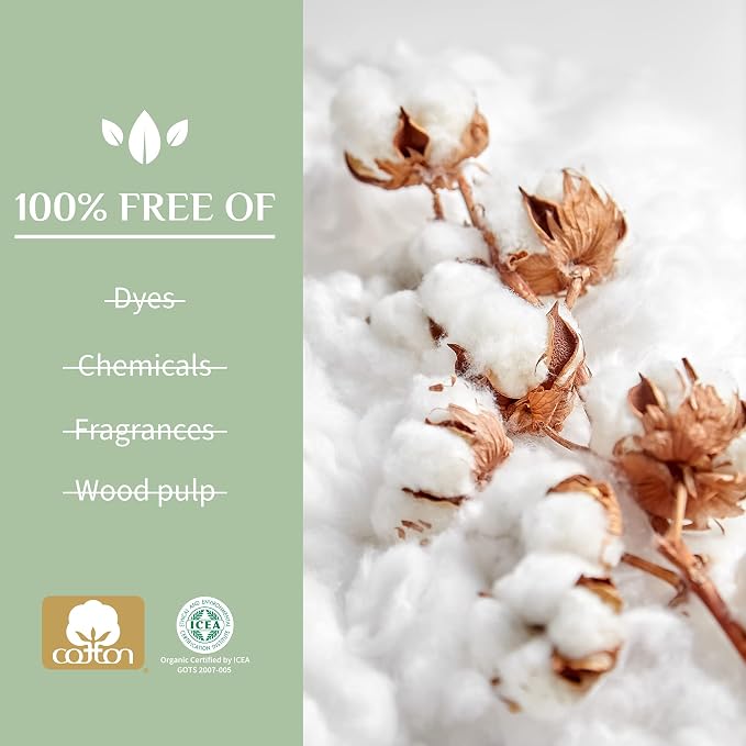 Organyc 100% Certified Organic Cotton Tampons - Cardboard Applicator, Free from Chlorine, Perfumes, Rayon, and Chemicals - Super, 14 Count