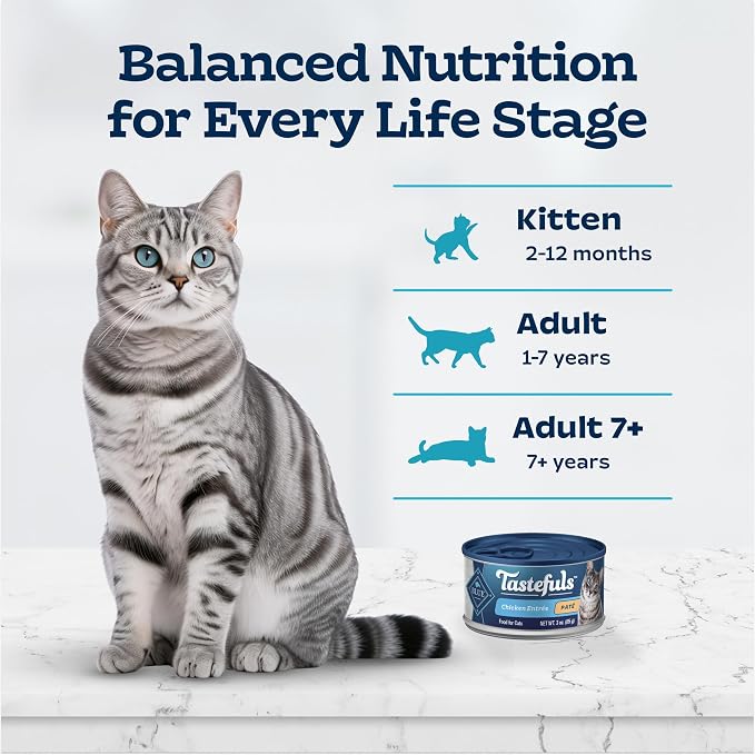 Blue Buffalo Tastefuls Chicken Paté Wet Cat Food, 3 oz, 4 ct | Real Chicken First, Paté Style, No Chicken By-Product, Corn, Wheat, or Soy