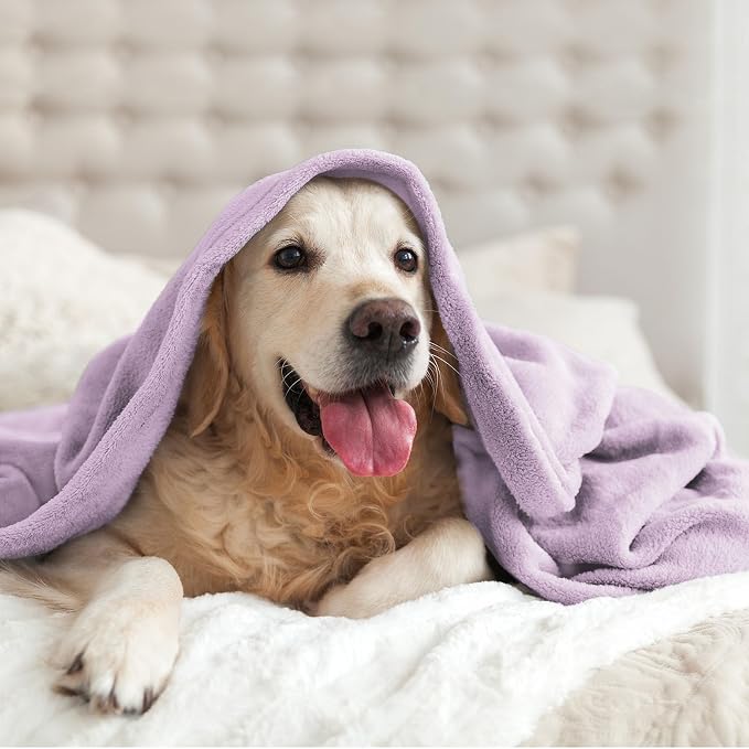 BEDELITE Fleece Blanket Soft Plush Twin Size Blanket Lilac 60"x80" | Ultra Soft Fleece, Plush Microfiber, Lightweight Warmth, All Season Comfort, Fade Resistant, Machine Washable, Couch Sofa Bed