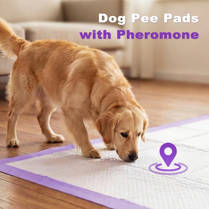 MIZOK Dog Pee Pads Wee Wee Pads Lavender Odor Control X-Large 28x34in 40Ct | Purple Doggy Pads with Sticky Adhesive Tabs Bring Soothing Comfort to Your Home for Medium to Large Breed Puppies