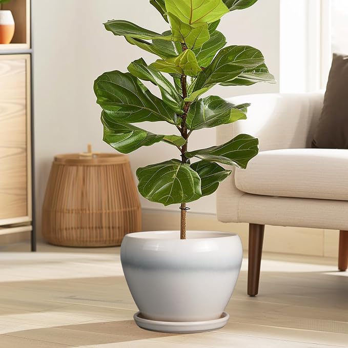 Ceramicfor Ceramic Planter - 8 Inch Plant Pot with Drainage Hole and Saucer, Glaze Round Flower Pot for Home Garden Patio Office, White