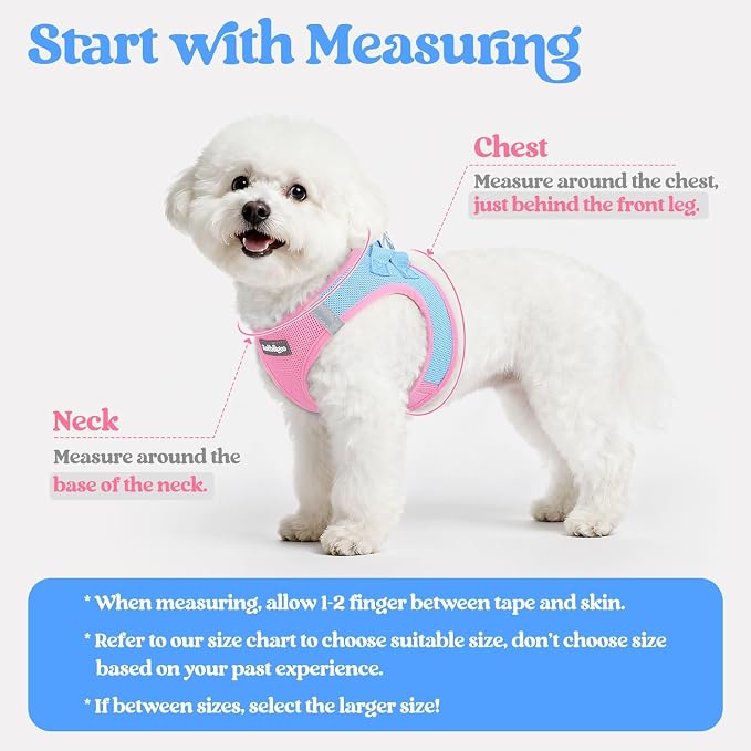 rabbitgoo Dog Harness Medium Sized and Leash Set, Step-in Puppy Pet Vest | Light, Soft, Breathable Air Mesh, Easy on and Remove with Hook & Loop, Secure Reflective for Walking, Blue & Light Pink XL