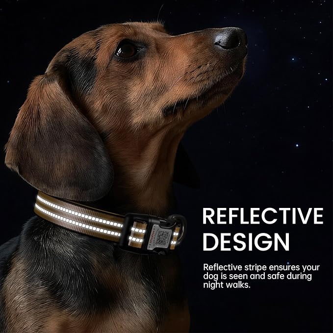 Personalized Dog Collar with QR Code Dog Tag, Orange M | Anti-lost, 1000D nylon, reflective, padded, XS-L(8"-24"), QR buckle shares lost pet profile, location alerts when scanned