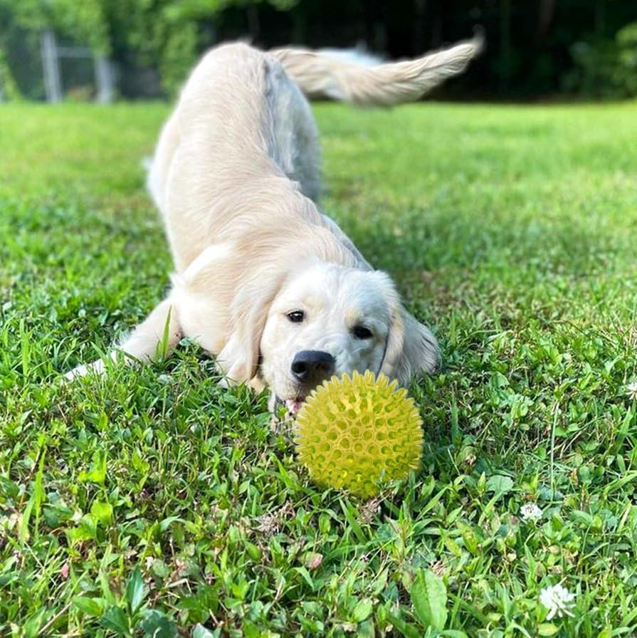 Cutie's PetBox Squeaky Rubber Spike Toy Ball for Medium, Large Dogs (3.5 Inch, Yellow)